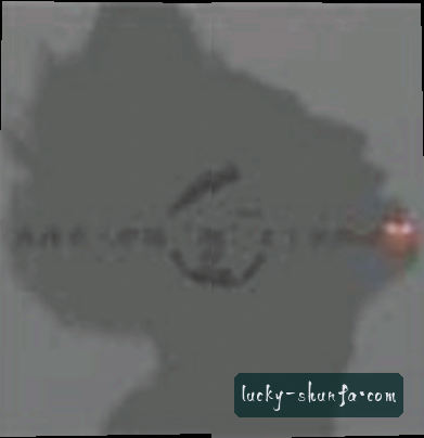陈静